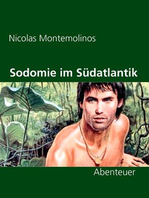 cover image of Sodomie im Südatlantik